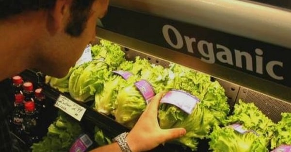 нитраты в продуктах питания